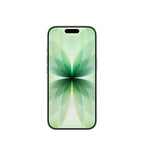 Apple iPhone 17  Sage 256GB Smartphone
