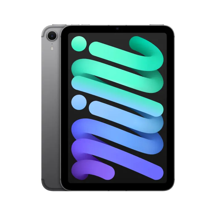 Apple iPad 8.3-inch A17 Pro 128GB Cellular Space Grey