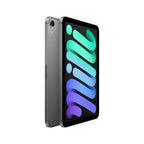 Apple iPad 8.3-inch A17 Pro 128GB Cellular Space Grey